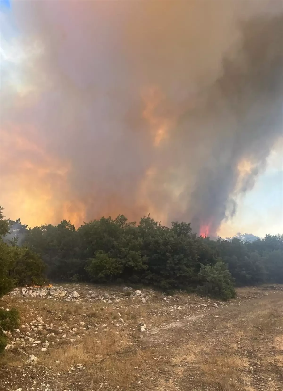 Eskişehir'de Orman Yangınına Müdahale Ediliyor