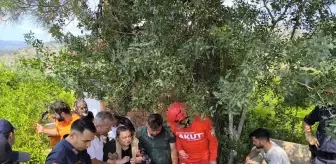 Eskişehir'de Kayıp Kadın Bulundu