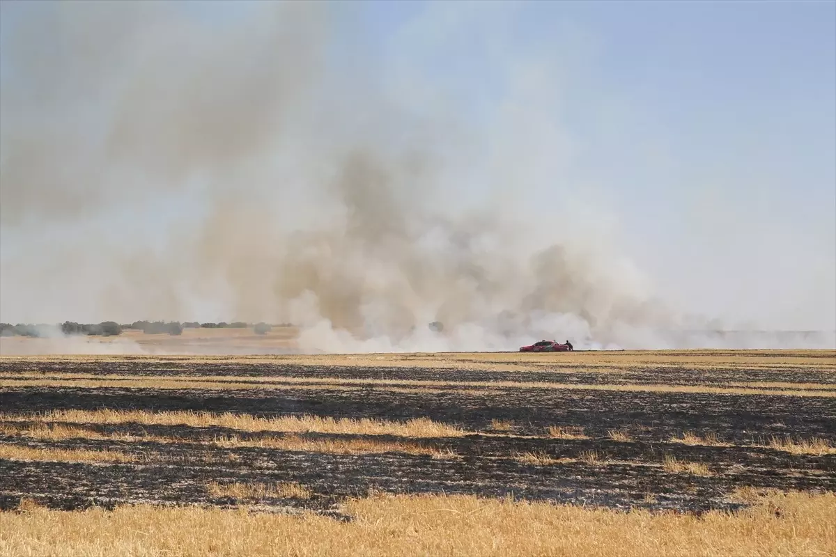 Eskişehir'de Tarım Arazisinde Yangın Çıktı