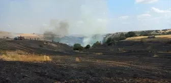 Eskişehir'de Tarım Arazisinde Yangın: Ormanlık Alanı Tehdit Etti