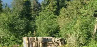 Giresun'da Kamyon Devrildi, Sürücü Yaralandı