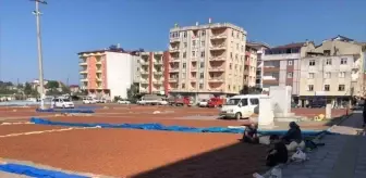 Giresun'da Üreticiler Fındığını Pazar Alanında Kurutuyor