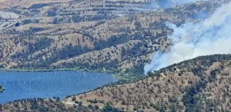 Ankara'da Eymir Gölü Yakınında Yangın Çıktı
