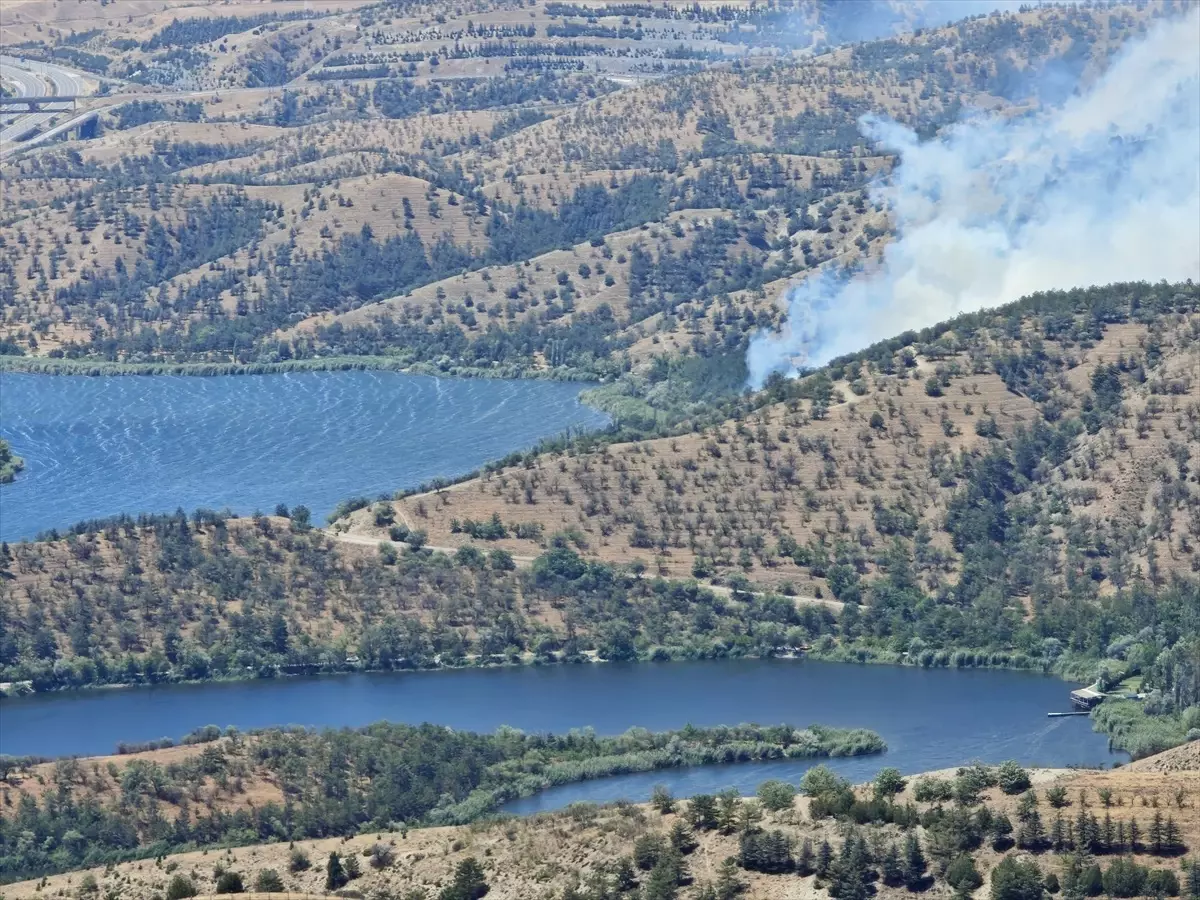 Ankara'da Eymir Gölü Yakınında Yangın Çıktı