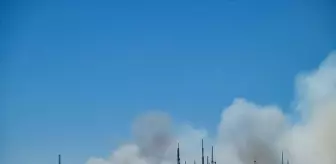 Ankara'da Eymir Gölü Yakınında Orman Yangını