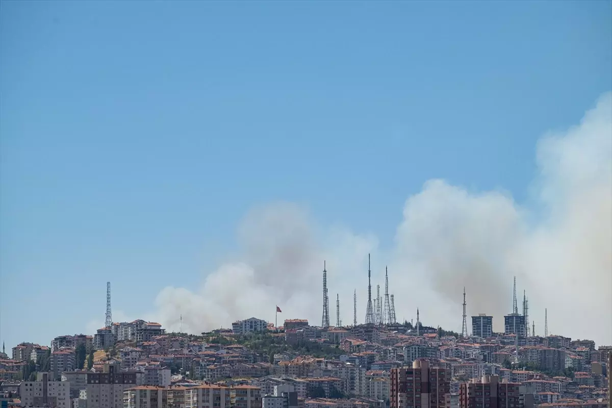 Ankara'da Eymir Gölü Yakınında Orman Yangını