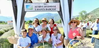 Fethiye'de Mor Tarlalarda Lavanta Hasadı Coşkusu