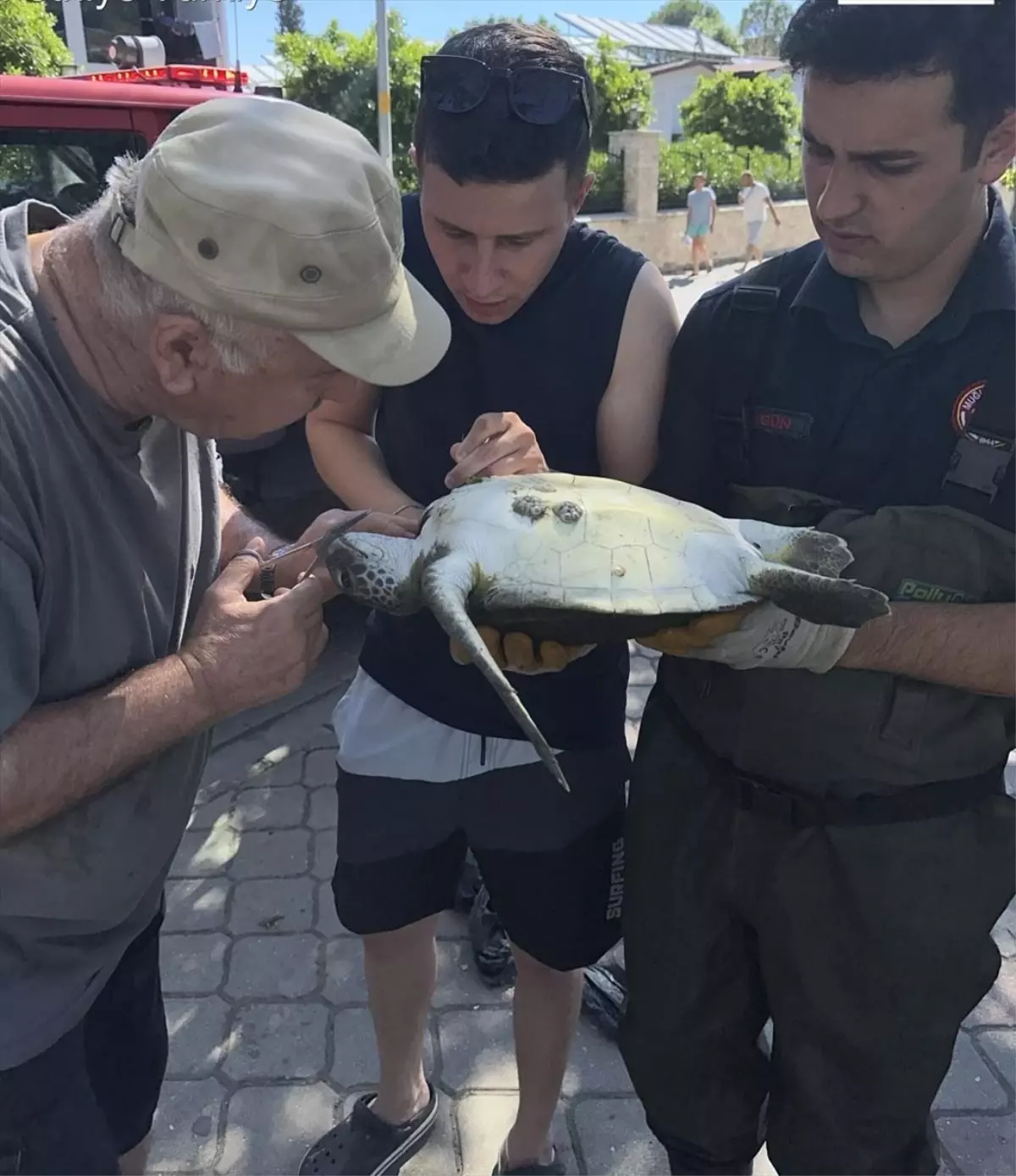 Fethiye'de İtfaiye Ekipleri Caretta Caretta'yı Kurtardı