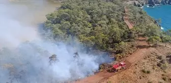 Fethiye'de Orman Yangınına Müdahale Başlatıldı