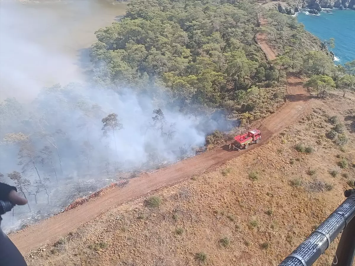 Fethiye'de Orman Yangınına Müdahale Başlatıldı