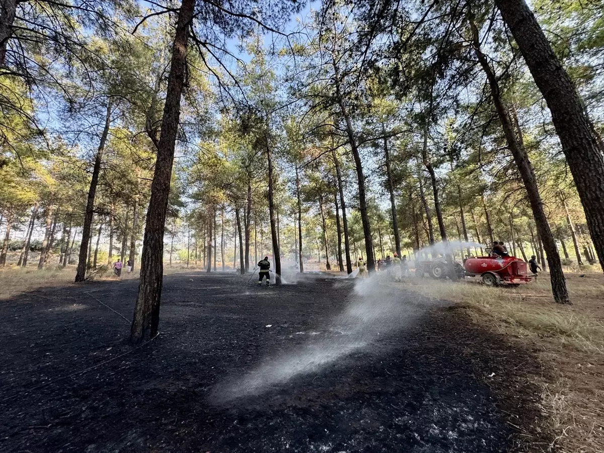 Fethiye'de Orman Yangını Söndürüldü