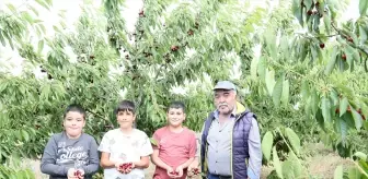 Sivas'ta Kiraz Hasadı Sevinci