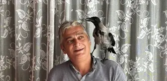 Fındık Üreticisinin Kargası, Mahallenin Maskotu Oldu