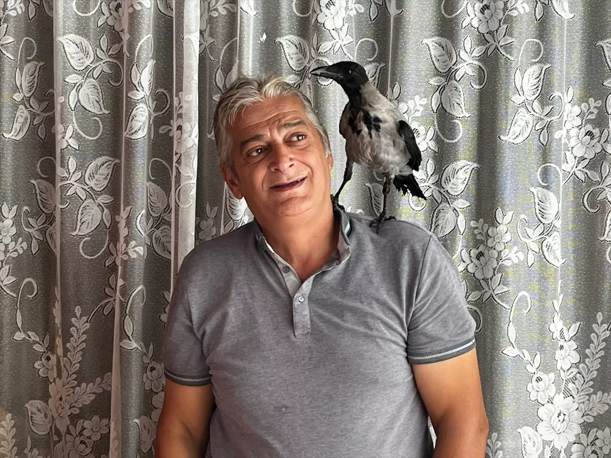 Fındık Üreticisinin Kargası, Mahallenin Maskotu Oldu