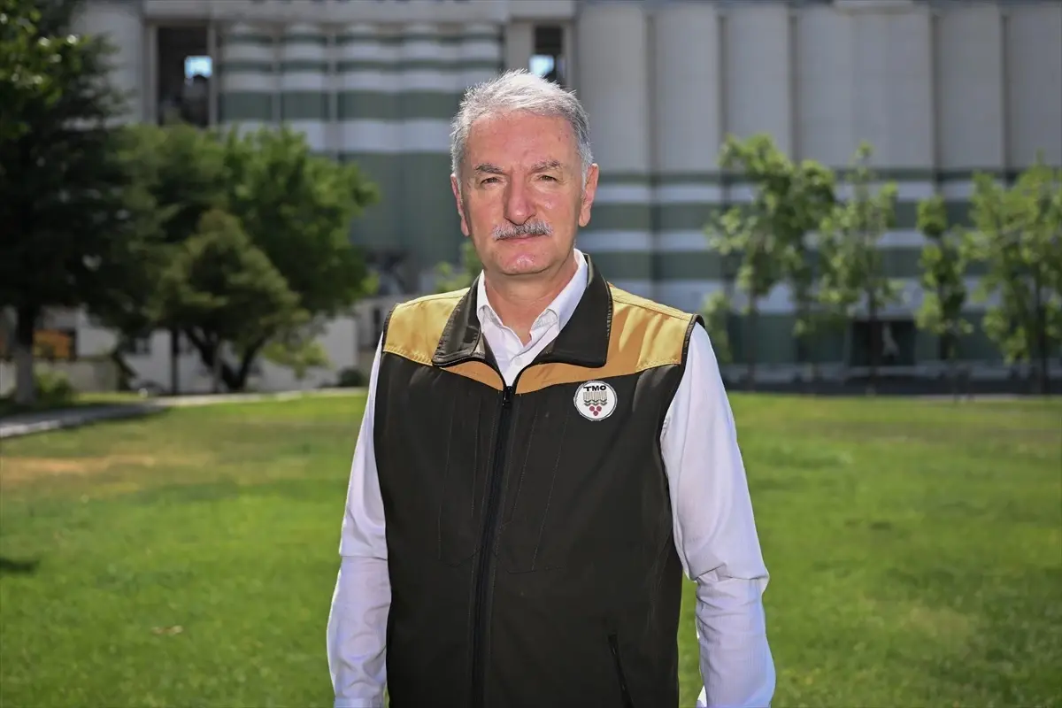 Fındık Rekoltesi 453 Bin Ton Olacak