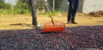 Gaziantep'te Yöresel Üzümlerin Kurutulmasına Başlandı