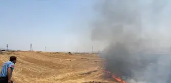 Gaziantep'te 300 Dönümlük Alanda Anız Yangını Çıktı