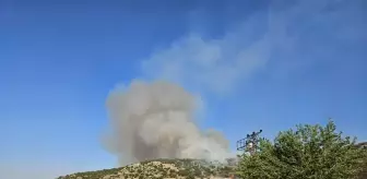 Gaziantep'te Anız Yakan Kişiye 47 Bin Lira Ceza