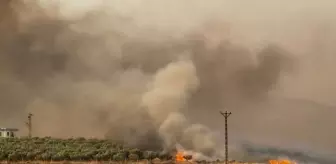 Gaziantep'te Buğday Tarlasındaki Yangına Müdahale