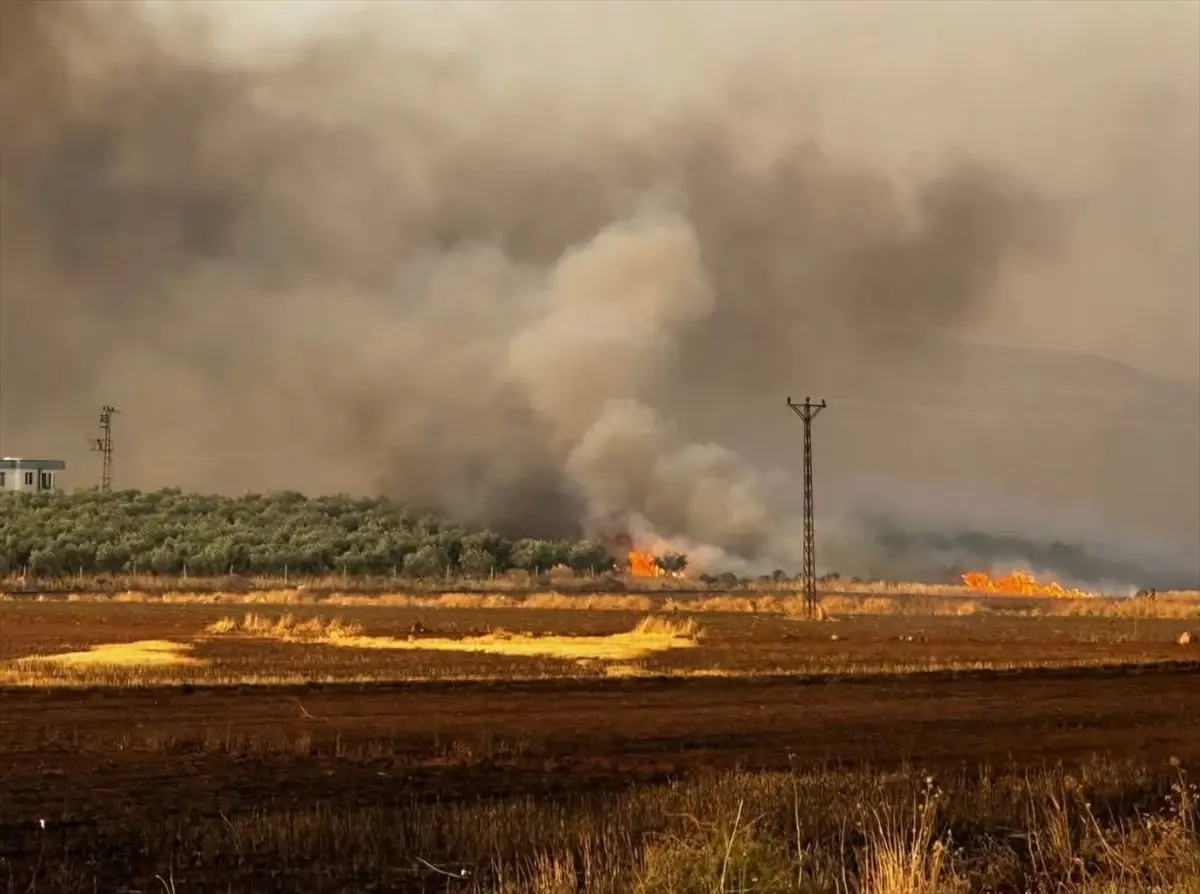Gaziantep'te Buğday Tarlasındaki Yangına Müdahale