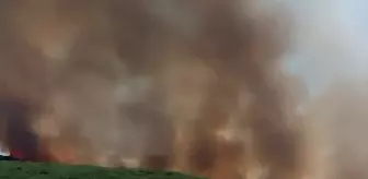 Gaziantep'te Orman Yangınına Müdahale Devam Ediyor