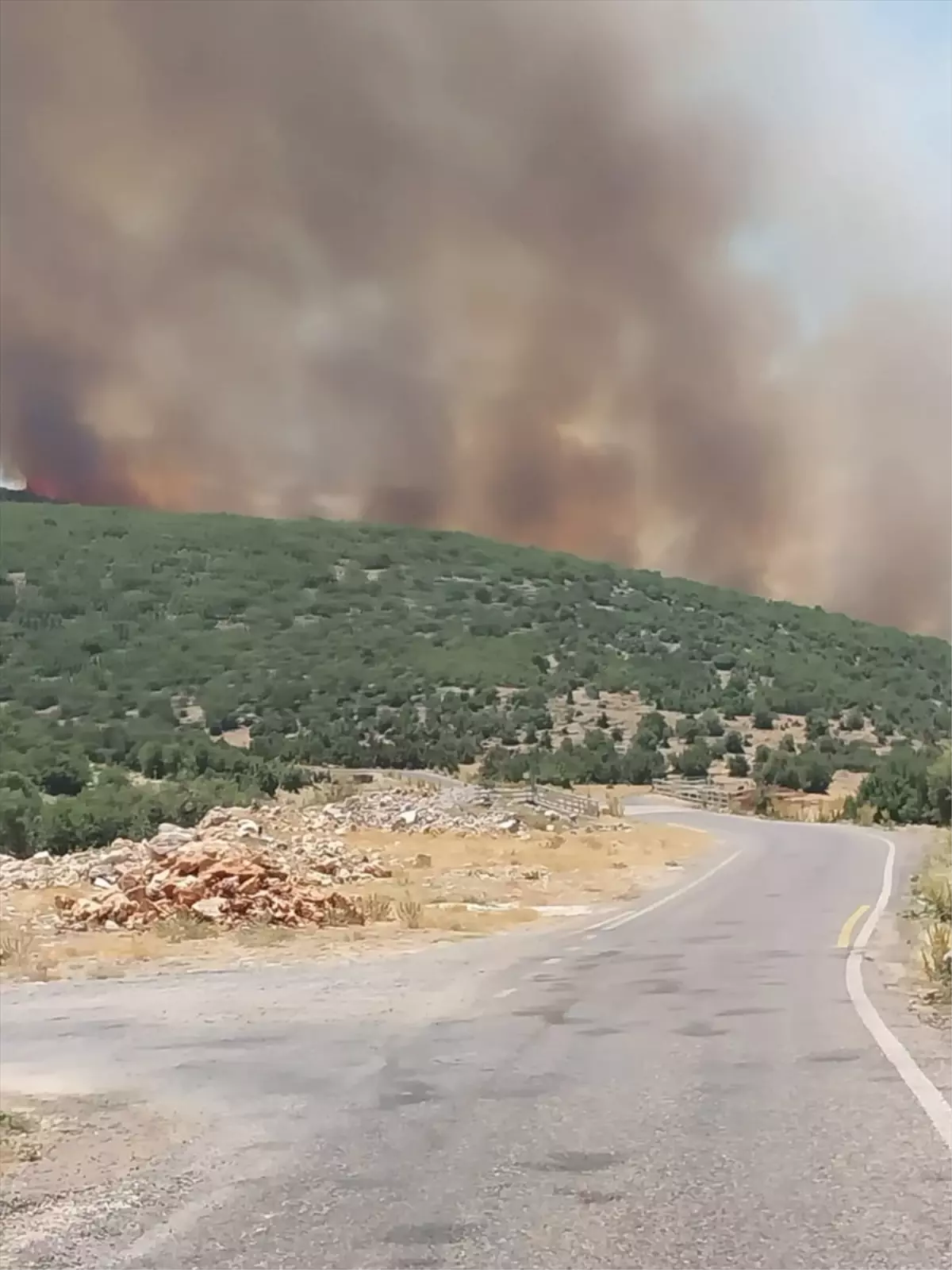 Gaziantep'te Orman Yangınına Müdahale Devam Ediyor