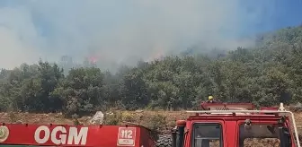 Gaziantep'te Orman Yangını Kontrol Altına Alındı