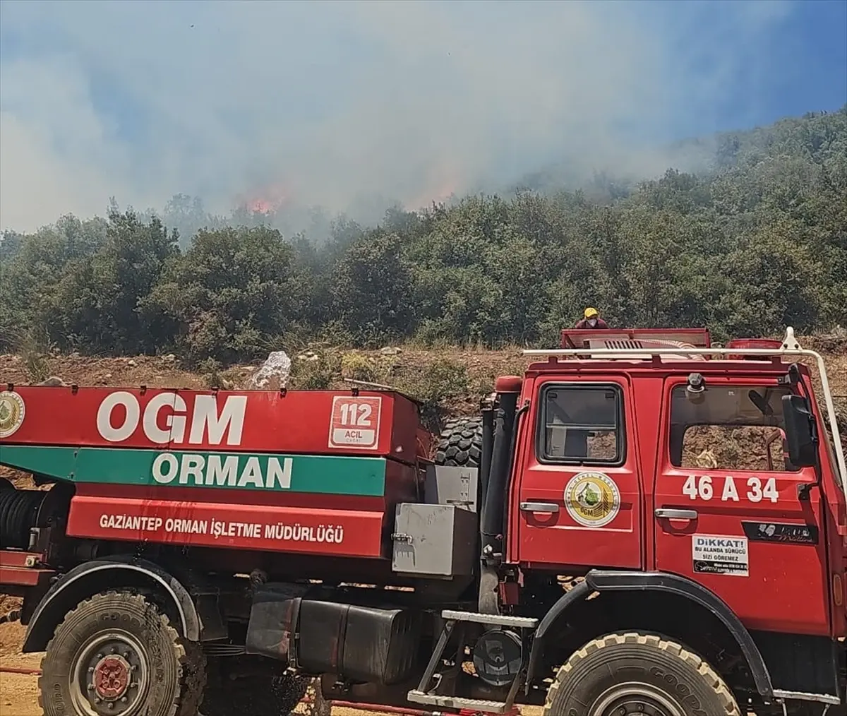 Gaziantep'te Orman Yangını Kontrol Altına Alındı