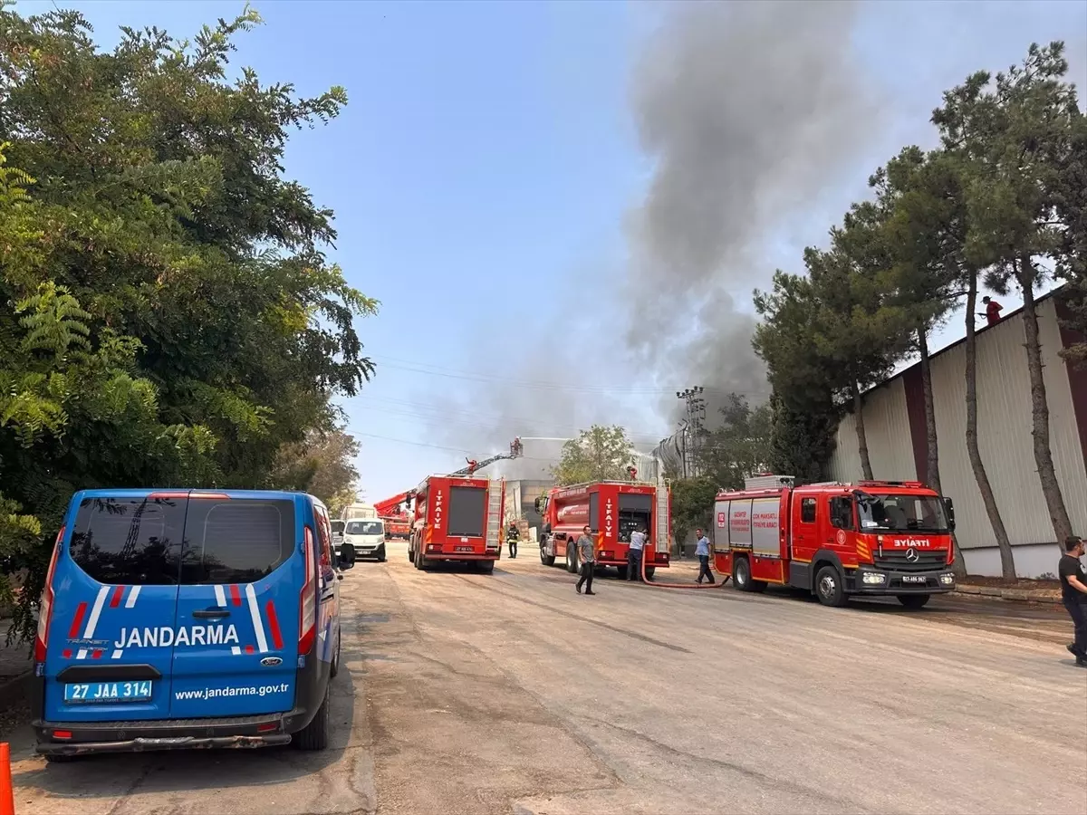 Gaziantep'te Halı Fabrikasında Yangın
