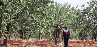 Gaziantep'te Kaybolan Otizmli Çocuk İçin Büyük Arama Çalışması