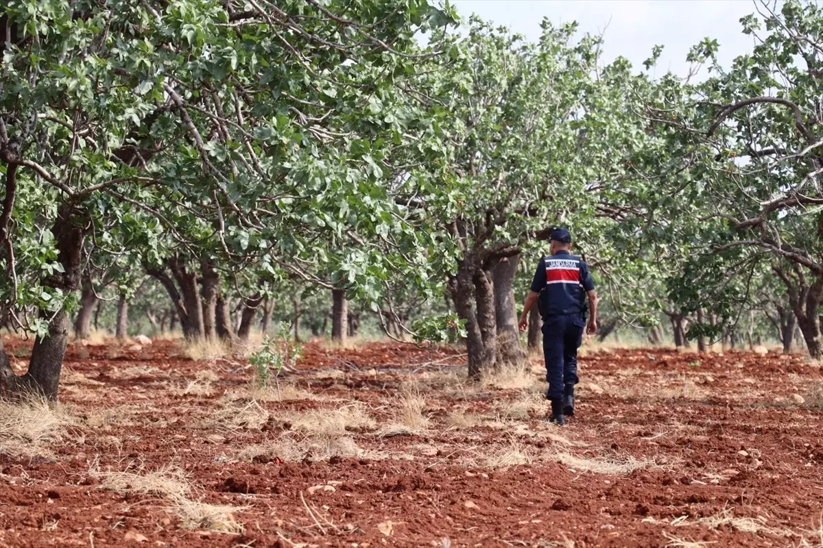 Gaziantep'te Kaybolan Otizmli Çocuk İçin Büyük Arama Çalışması