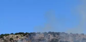 Gaziantep'te Anız Yangını Kontrol Altına Alındı