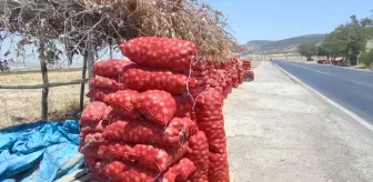 Nurdağı'nda Çiftçi Harun İbili, Soğan Hasadını Yol Kenarında Satışa Sunuyor