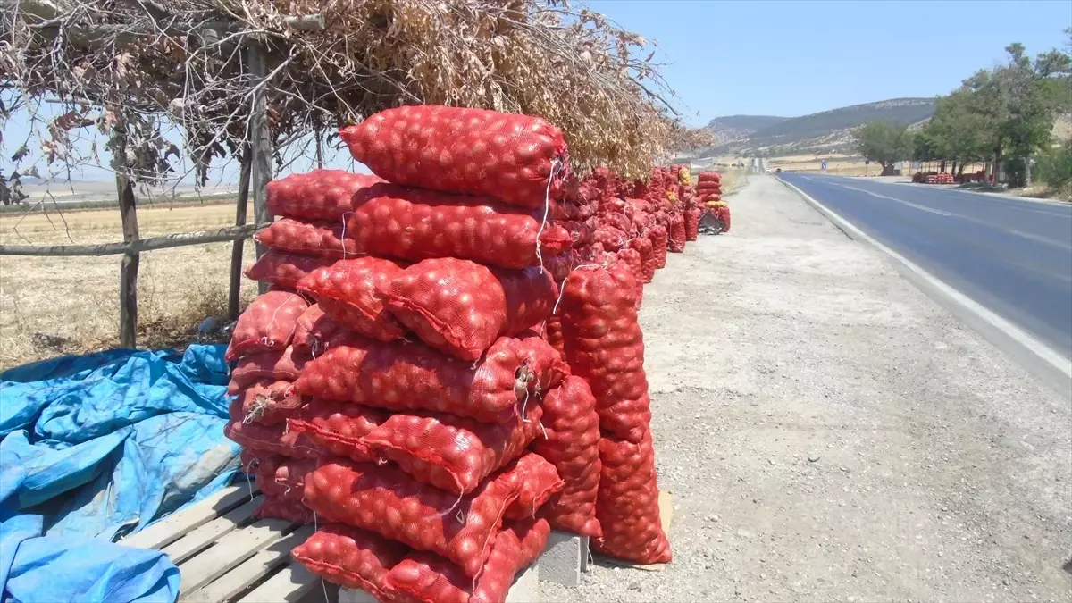 Nurdağı'nda Çiftçi Harun İbili, Soğan Hasadını Yol Kenarında Satışa Sunuyor