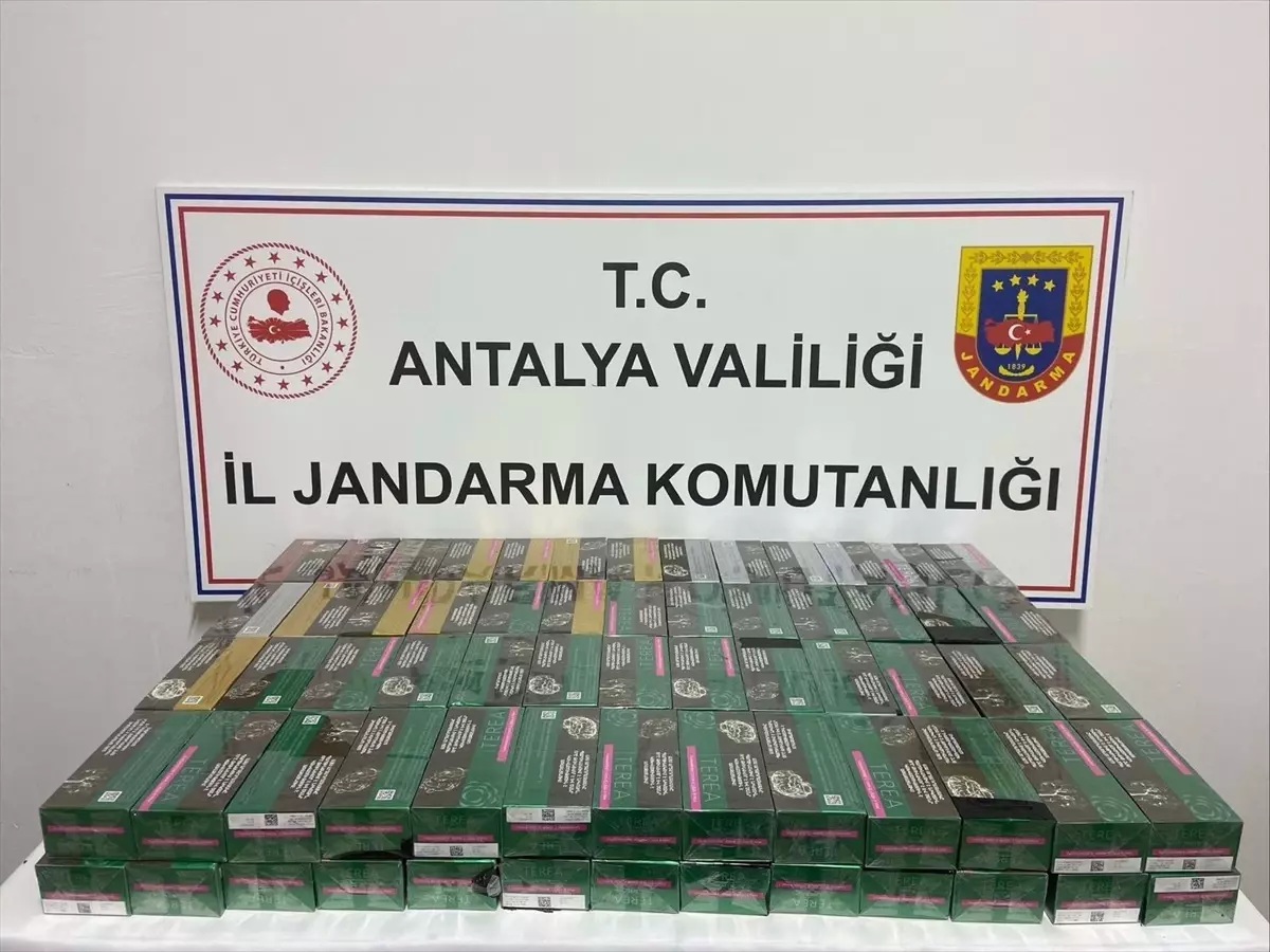 Gazipaşa'da 2 Bin Paket Gümrük Kaçağı Sigara Ele Geçirildi