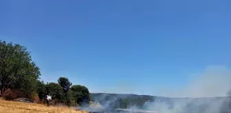 Çanakkale'de Anız Yangını Kontrol Altına Alındı