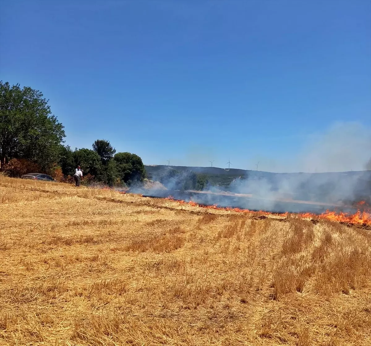 Çanakkale'de Anız Yangını Kontrol Altına Alındı