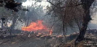 Çanakkale Gelibolu'da Anız Yangını Söndürüldü