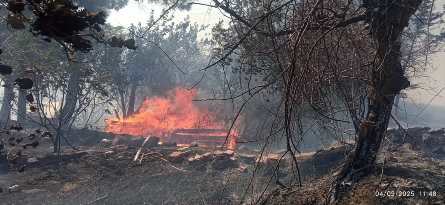 Çanakkale Gelibolu'da Anız Yangını Söndürüldü