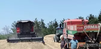 Gelibolu'da Yangın İhtimaline Karşı Biçerdöverle Hasat