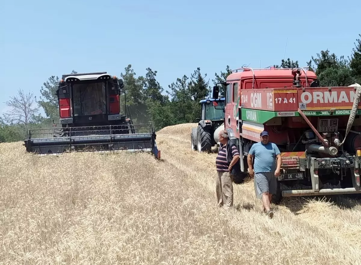 Gelibolu'da Yangın İhtimaline Karşı Biçerdöverle Hasat