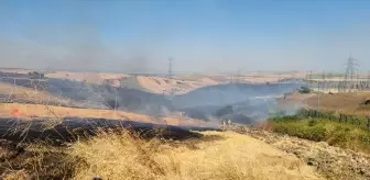 Çanakkale'nin Gelibolu'unda Tarım Arazisinde Yangın Çıktı