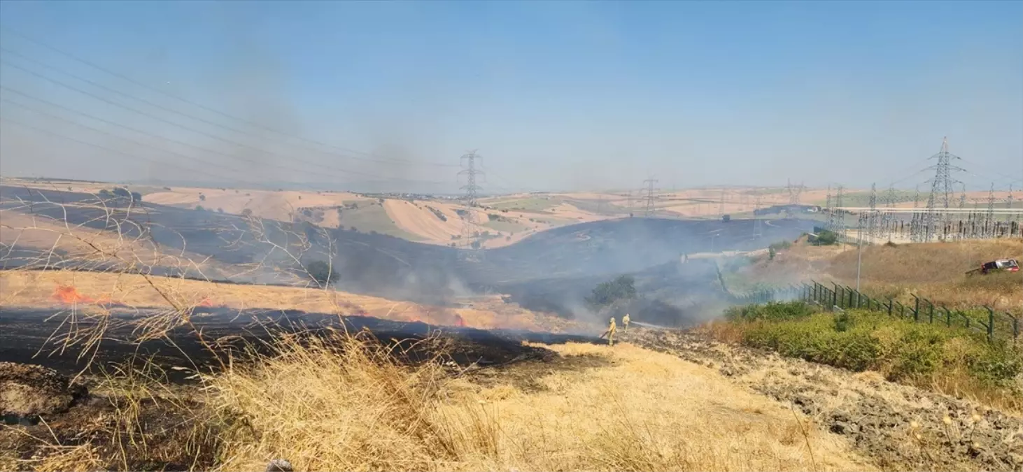 Çanakkale'nin Gelibolu'unda Tarım Arazisinde Yangın Çıktı
