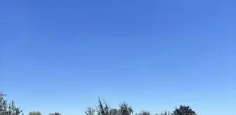 Çanakkale Gelibolu'da Tarım Arazisinde Yangın Çıktı
