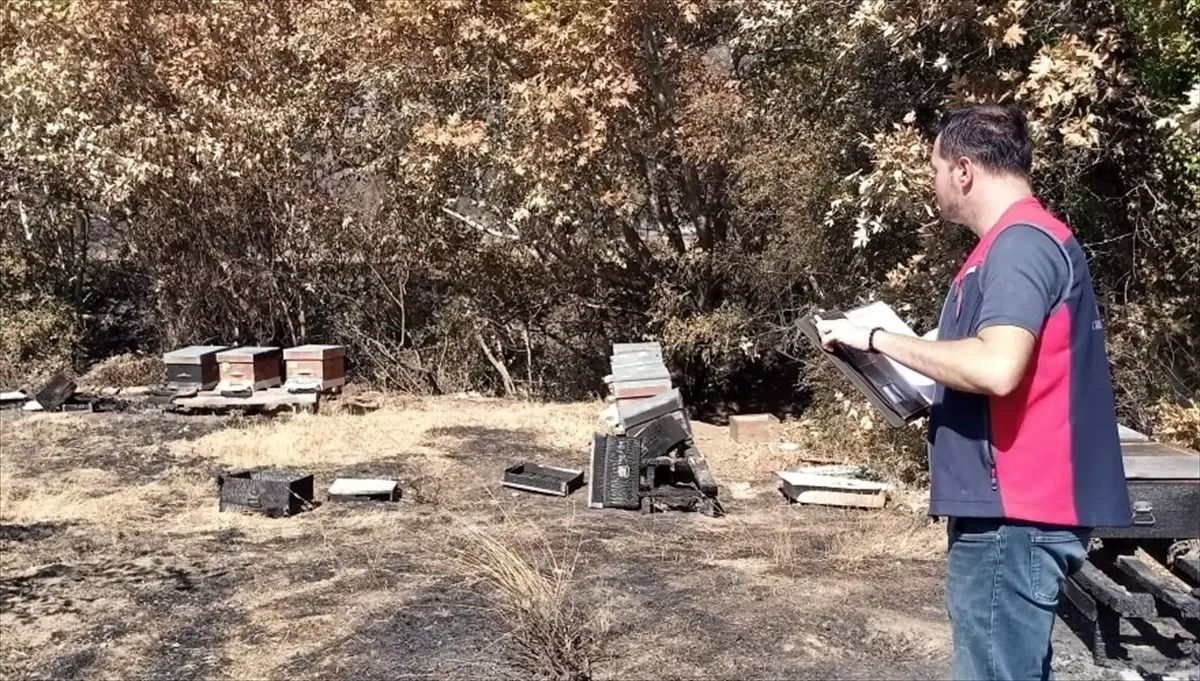 Gelibolu'da Yangın Sonrası Hasar Tespit Çalışmaları Başladı