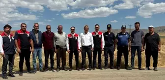 Sivas'ın Gemerek ilçesinde buğday hasadı başladı