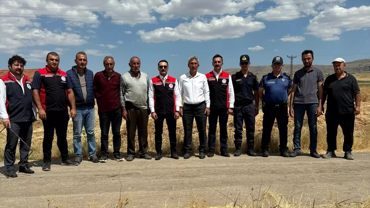 Sivas'ın Gemerek ilçesinde buğday hasadı başladı