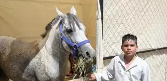 11 Yaşındaki Sporcu Şahan Emir Özşahan, Malazgirt'teki Atlı Okçuluk Yarışmasında Göz Doldurdu
