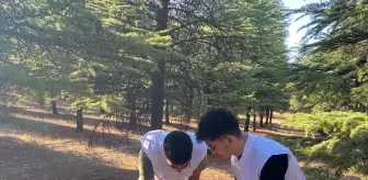 Genç Yeryüzü Doktorları Ormanları Temizliyor