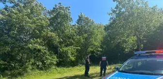 Jandarma, Yangın Riski Taşıyan Alanlarda Devriye Faaliyetlerine Devam Ediyor